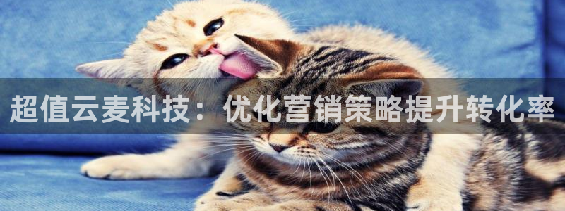 金年会网页版登陆