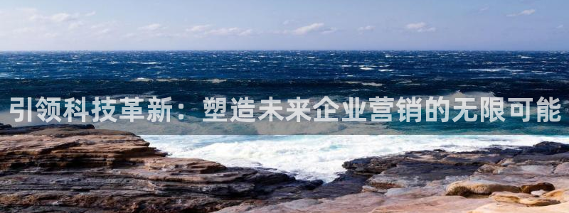今年会金年会
