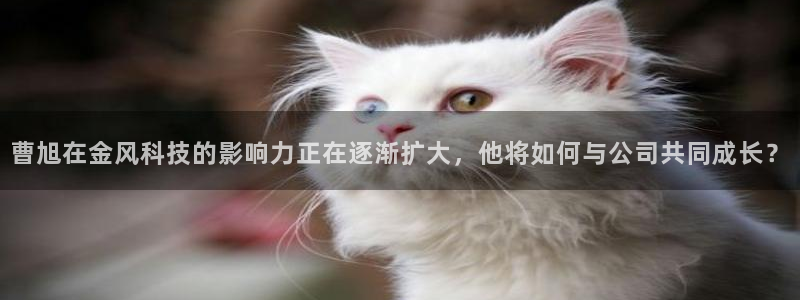 金年会金字招牌至上