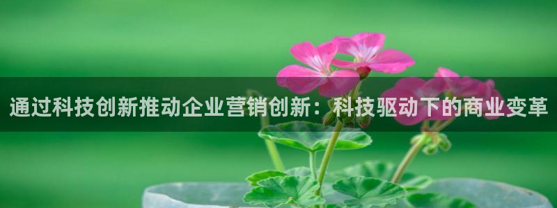 金年会下载哪个买球赛
