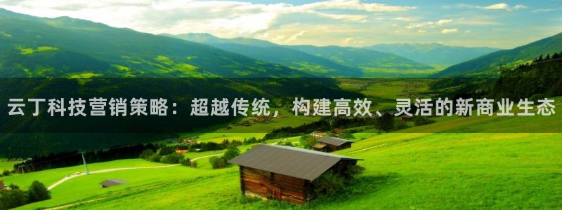 金年会金字招牌至上用了多少钱?