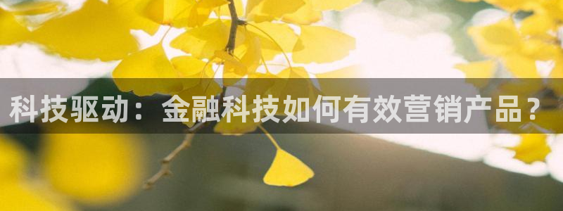 金年会体育网址登录