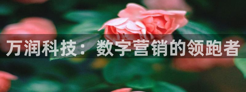 金年会体育官网入口