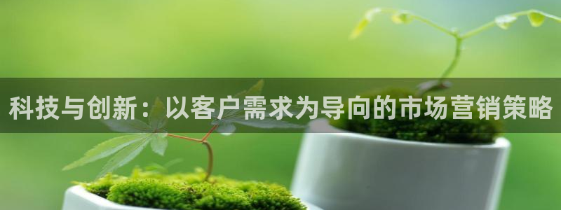 金年会官方在线入口网站下载