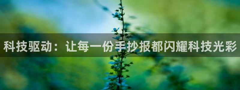 金年会体育一直输