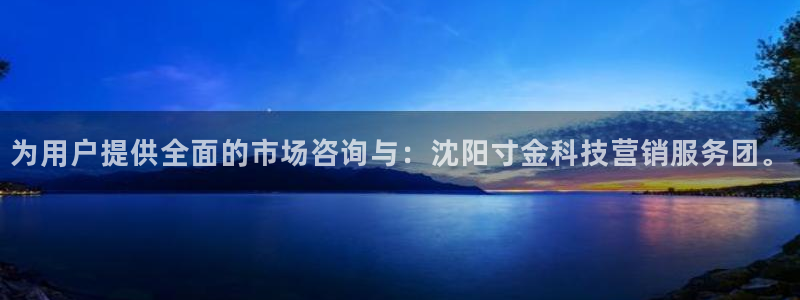 金年会网站平台怎么样