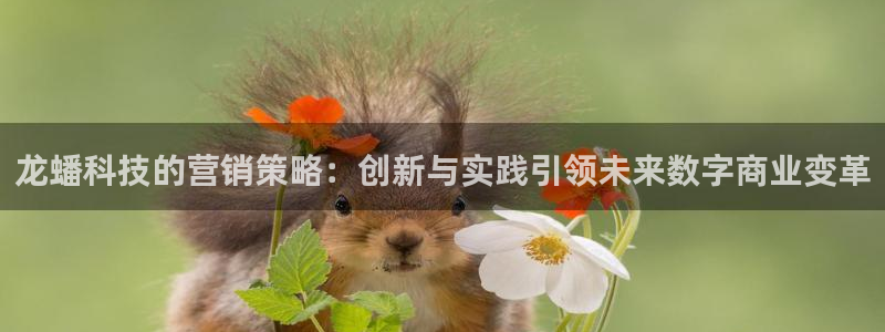 金年会赌博官网