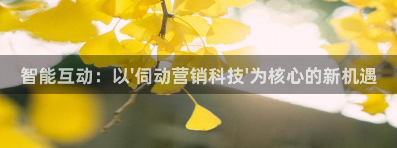 金年会体育手机app下载官网苹果