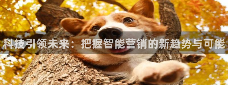 金年会黑平台不给出款
