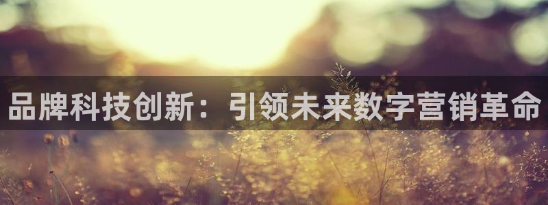 金年会网址导航在线播放