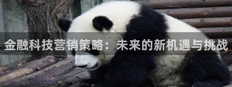 金年会官方下载入口手机版