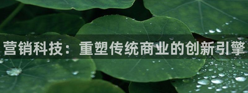 金年会信誉至上金字招牌