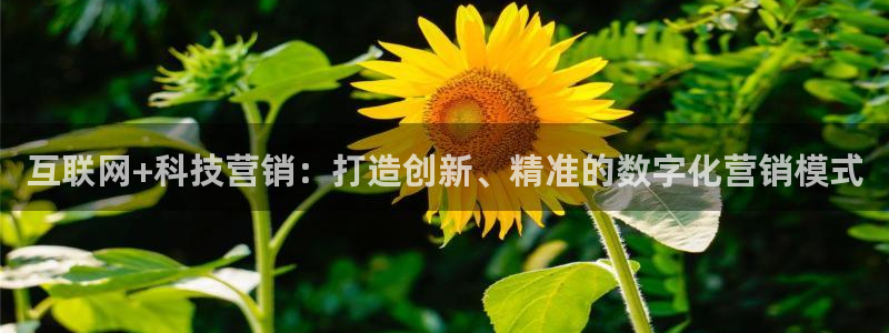 金年会 金字招牌诚信至上Vip