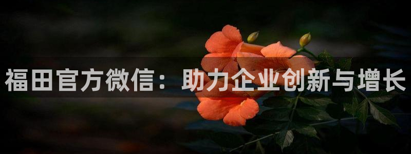 金年会jinnianhui官方在线登录