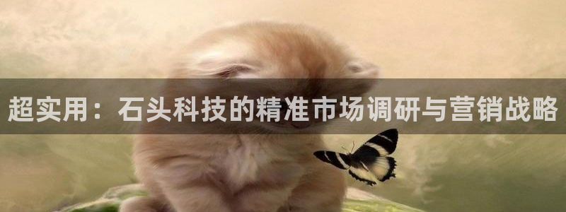 金年会体育app入口