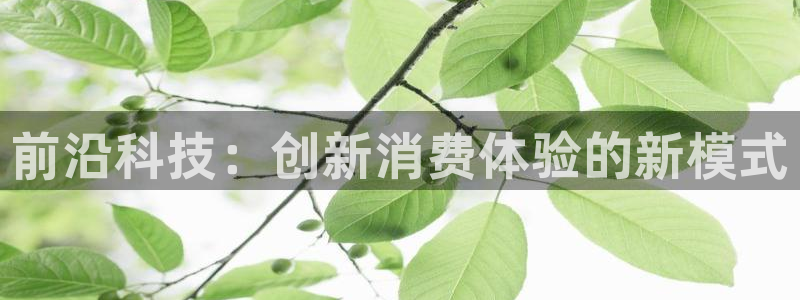 金年会手机版本网页登录