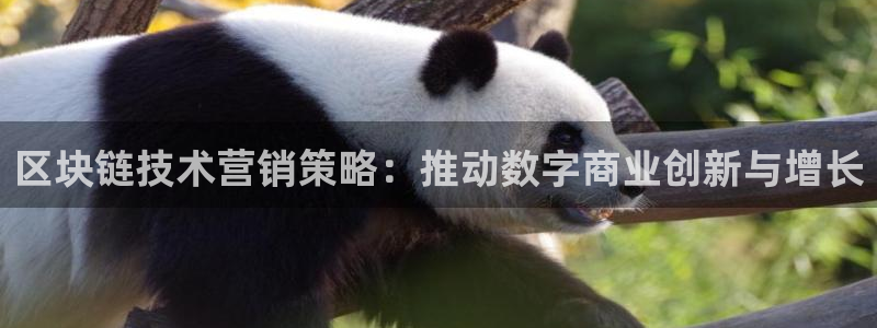 金年会体育平台官网app