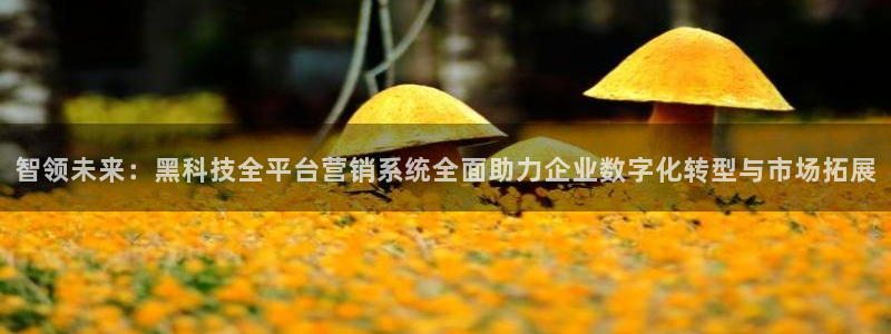 金年会体育苹果下载