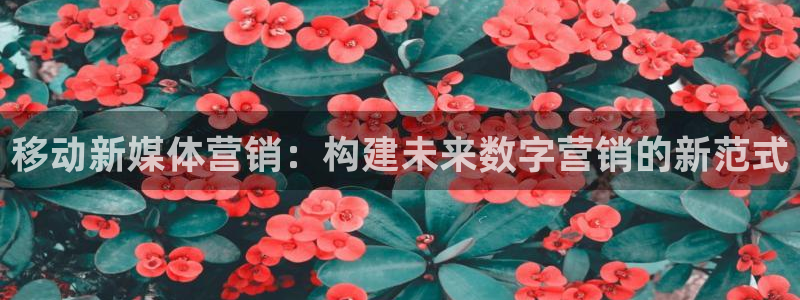 金年会官方登录入口手机版下载