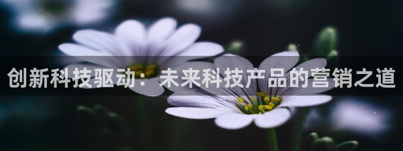 金年会官方网站入口v1.5.7