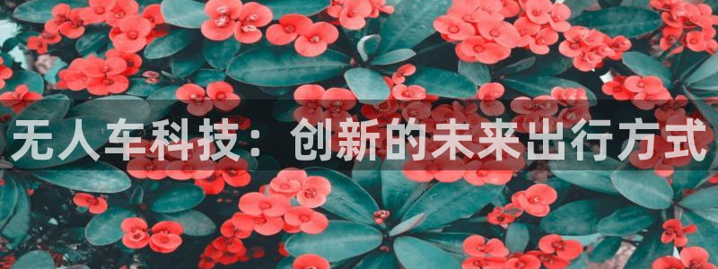 金年会体育app网页版官方入口