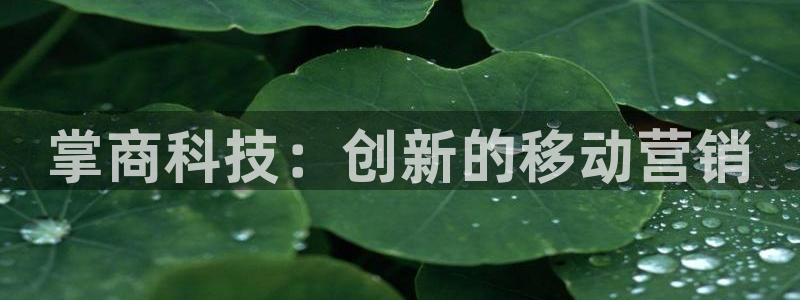 金年会官方新入口