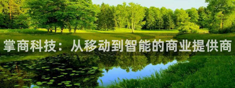 金年会网站怎么样
