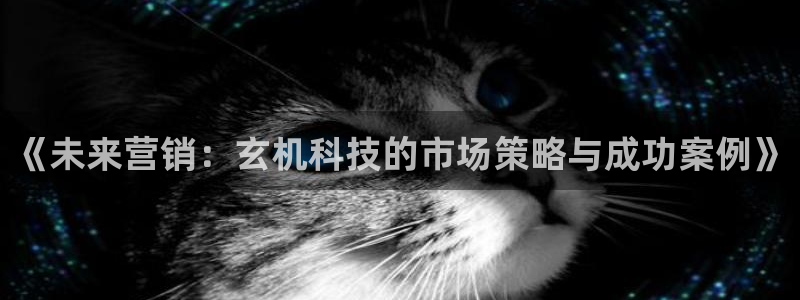 金年会体育怎么样