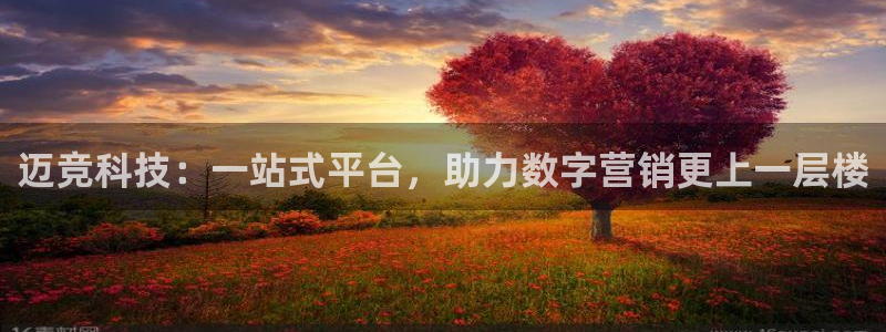 金年会体育平台是真的吗知乎