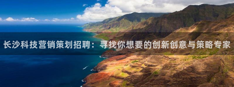 金年会官方下载app