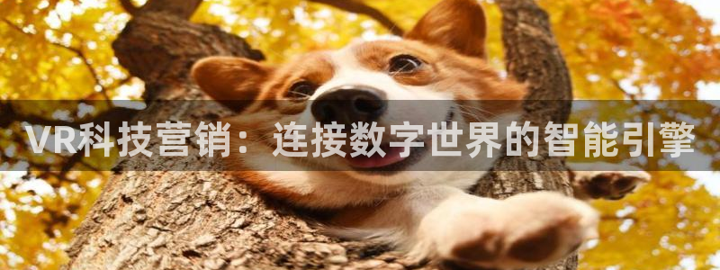 金年会赌博官网