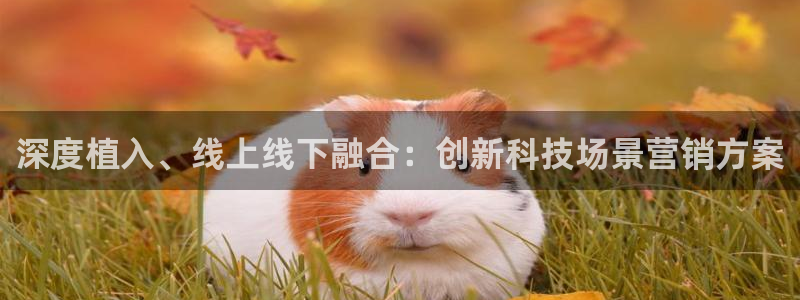 金年会官方入口2023