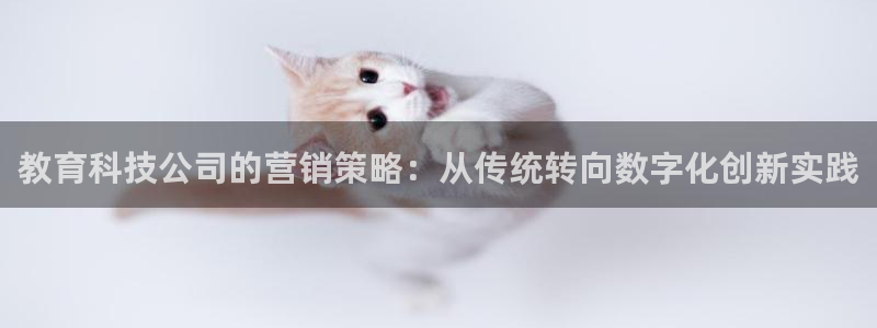 金年会体育app下载官网