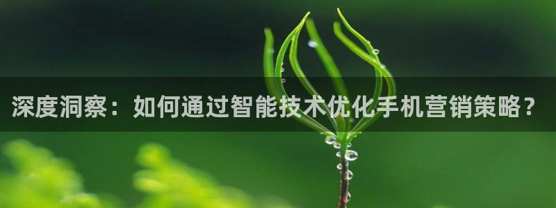 金年会官方登录