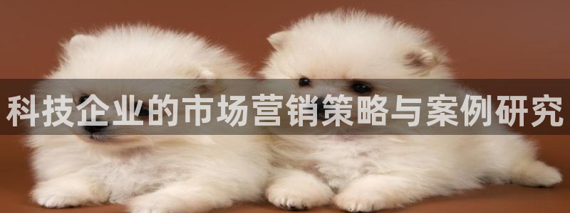 金年会官方入口登录网站