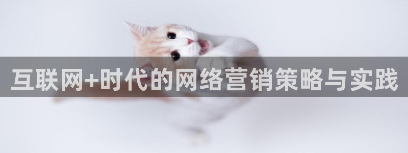 金年会体育app下载官网苹果手机