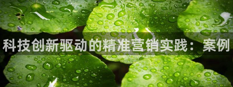 金年会网页版在线登录官网下载