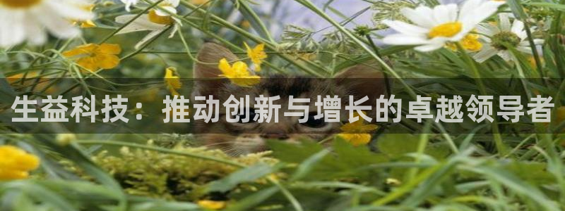 金年会下载安卓