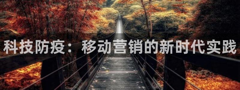 金年会 金字招牌诚信至上在线