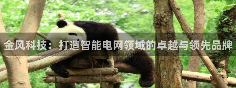 金年会手机版怎么下载