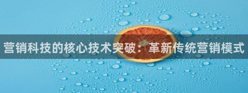 金年会官方网站入口