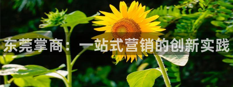 金年会体育电子登录入口