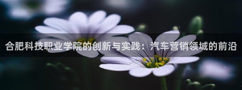 金年会手机网页版下载