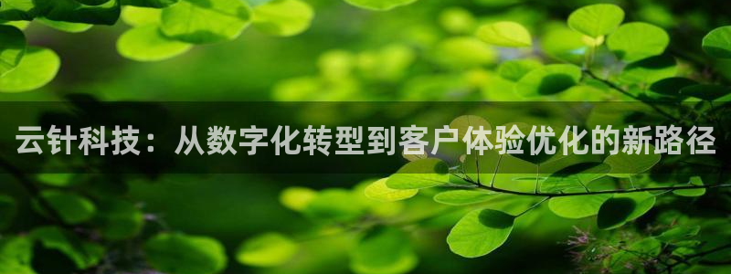 金年会手机版怎么下载