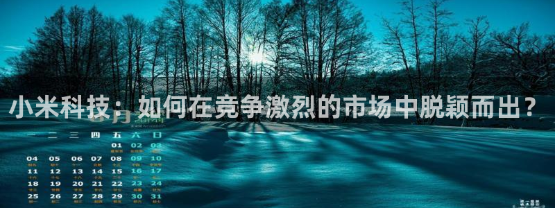 金年会体育app下载官网安卓手机