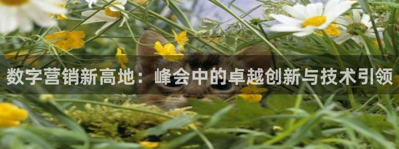 金年会jinnianhuicom