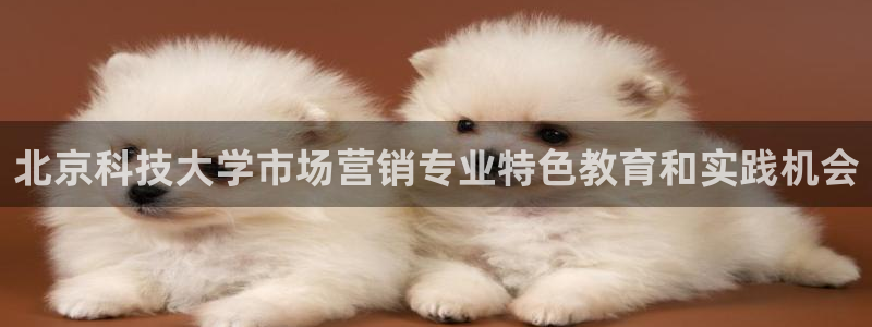 金年会网站下载