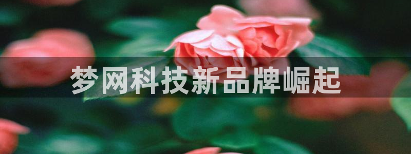 jinnianhui金年会下载